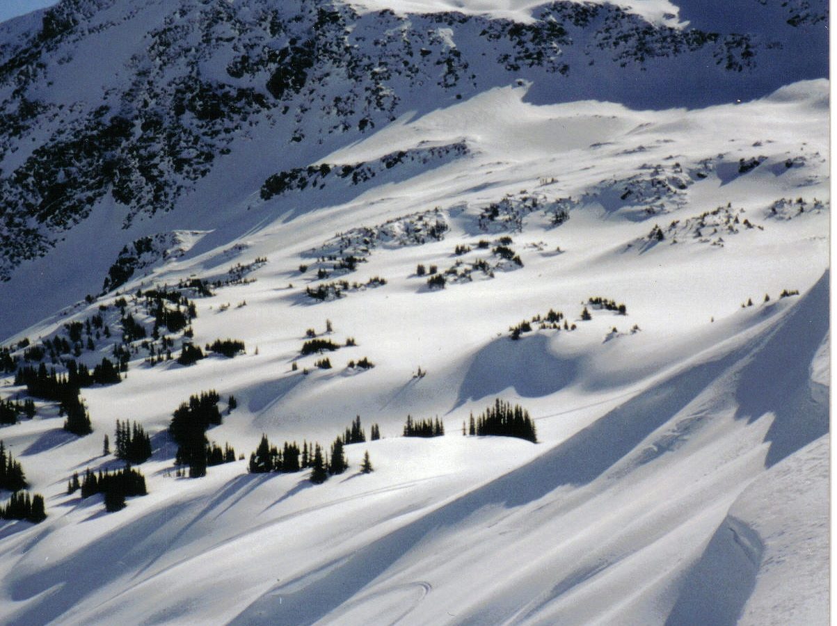 CMH Heli Skiing