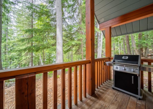 Halcyon Chalet 1 Bed Porch BBQ