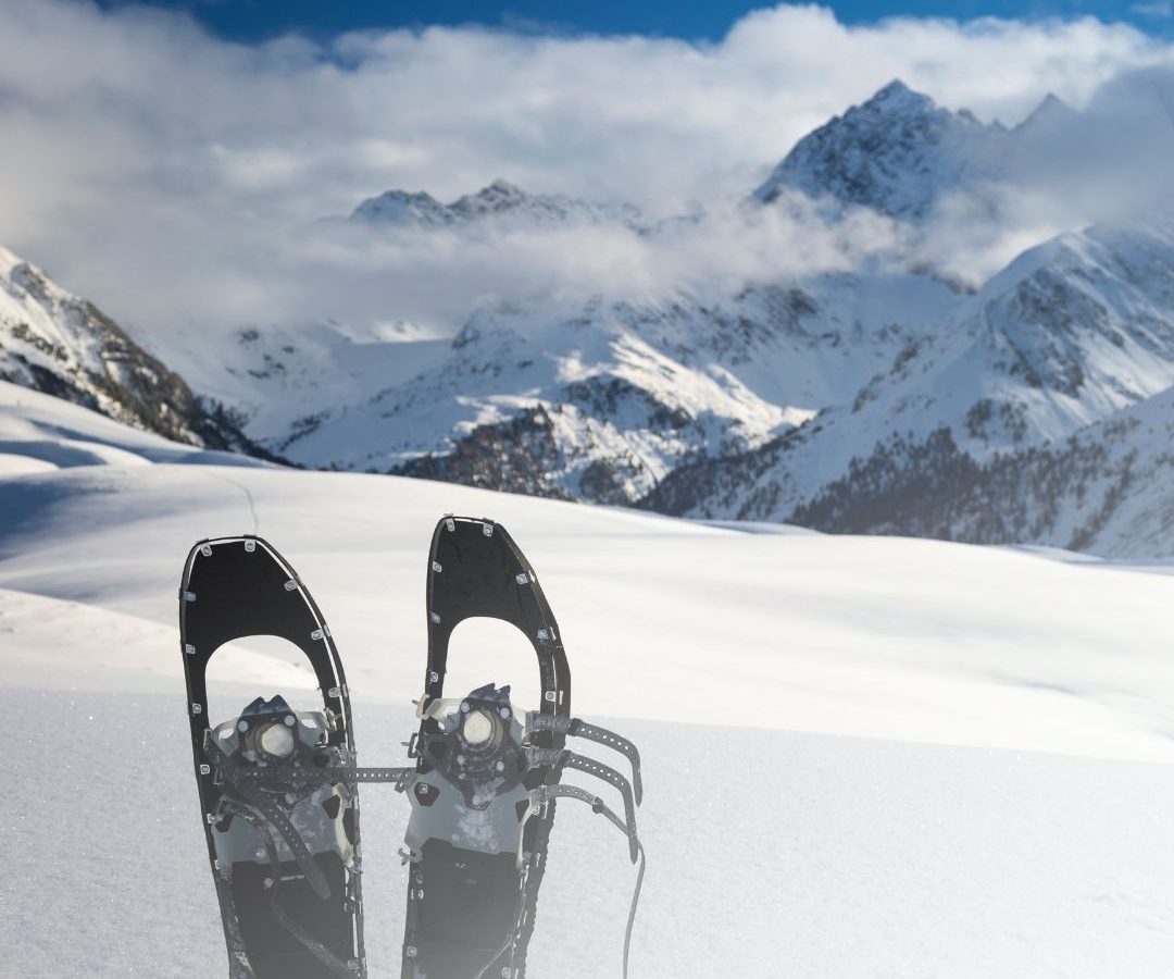 snowshoes in the snow